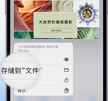 山亭apple维修中心分享iPhone文件应用中存储和找到下载文件