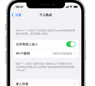 山亭apple服务站点分享iPhone上个人热点丢失了怎么办 