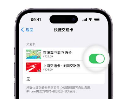 山亭apple维修点分享iPhone上更换Apple Pay快捷交通卡手绘卡面 