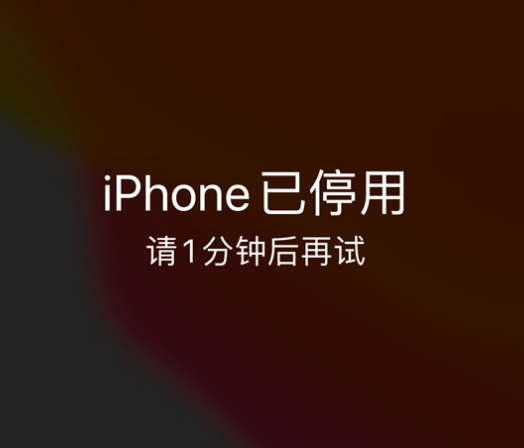 山亭苹果手机维修分享:iPhone 显示“不可用”或“已停用”怎么办？还能保留数据吗？ 