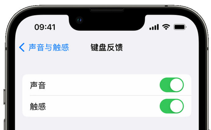 山亭苹果手机维修分享iPhone 14触感键盘使用方法 