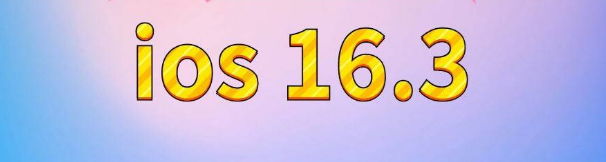 山亭苹果服务网点分享苹果iOS16.3升级反馈汇总 