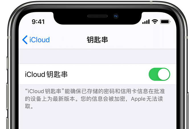 山亭苹果手机维修分享在 iPhone 上开启 iCloud 钥匙串之后会储存哪些信息 