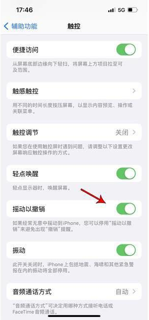 山亭苹果手机维修分享iPhone手机如何设置摇一摇删除文字 